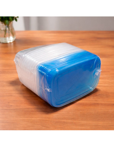 Recipiente Hermético 475 ml (10 Piezas) al Mayoreo | LHESH