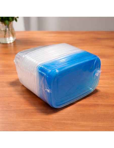 Recipiente Hermético 475 ml (10 Piezas) al Mayoreo | LHESH