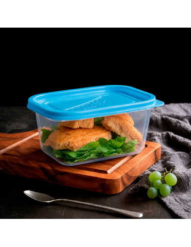 Recipiente Hermético 475 ml (10 Piezas) al Mayoreo | LHESH